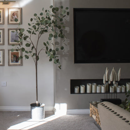 Large Eucalyptus Tree in a Metallic Pot